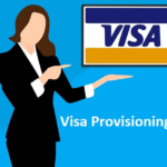 visa poitioning service