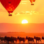 A stunning view of hot air balloons drifting above the Maasai Mara at sunrise, with a large herd of wildebeest moving across the savannah.