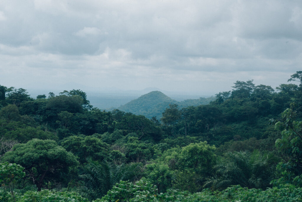 An image showing a lush scenic mountain view.