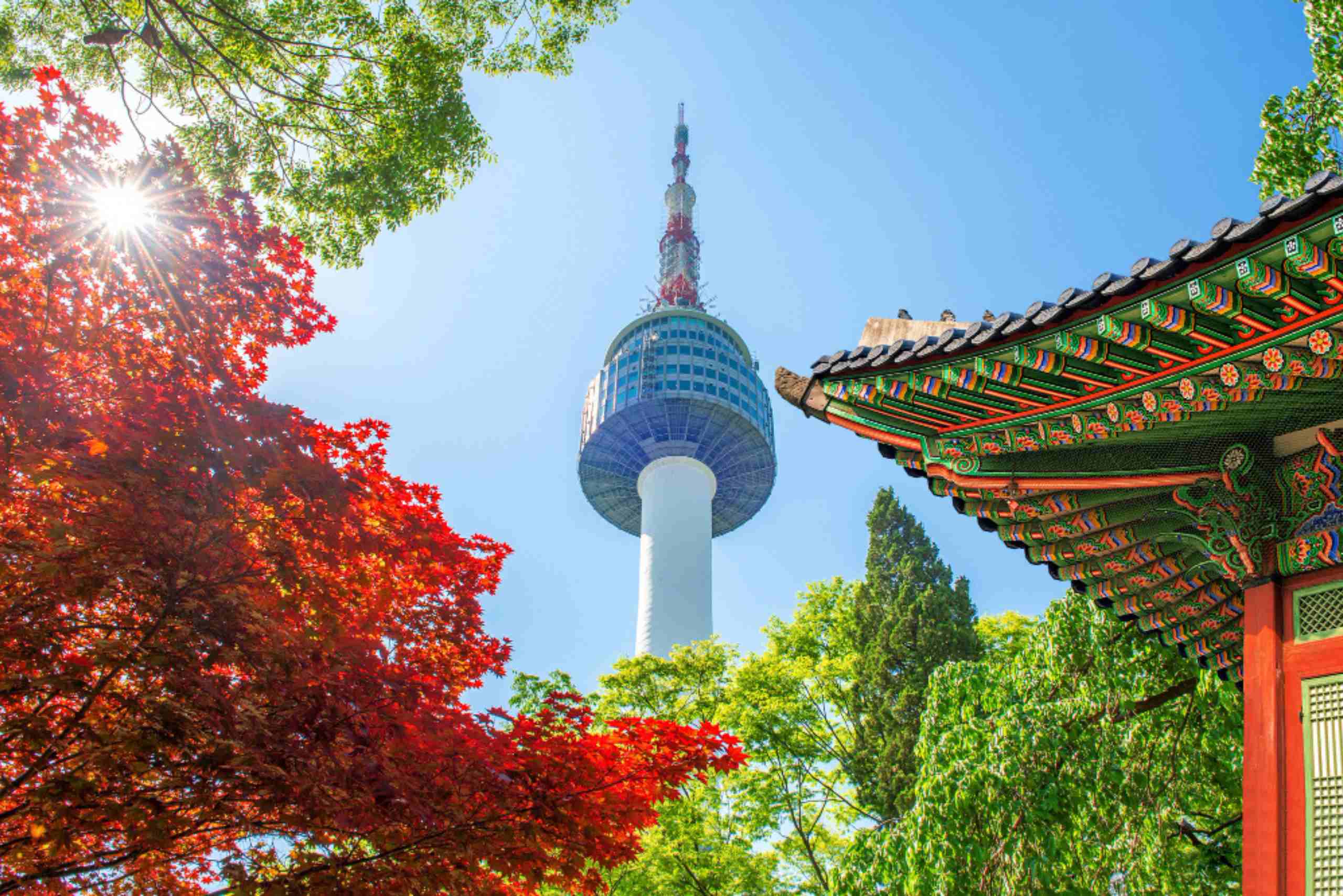 An image showing Seoul Tower, Gyeongbokgung Palace roof, and red autumn maple leaves at Namsan Mountain, South Korea.
