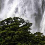 An image depicting Assop Waterfall in Nigeria, cascading down rocky cliffs with lush green trees in the foreground.