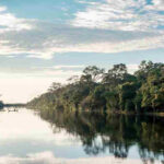 An image showing a river with lush green vegetation lining both sides, depicting the Moa River on Tiwai Island.