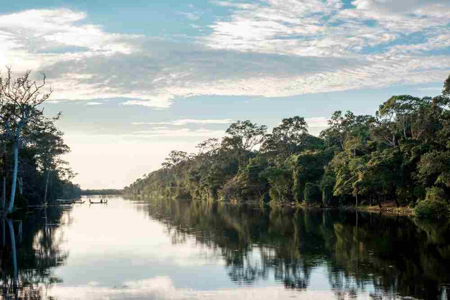 An image showing a river with lush green vegetation lining both sides, depicting the Moa River on Tiwai Island.