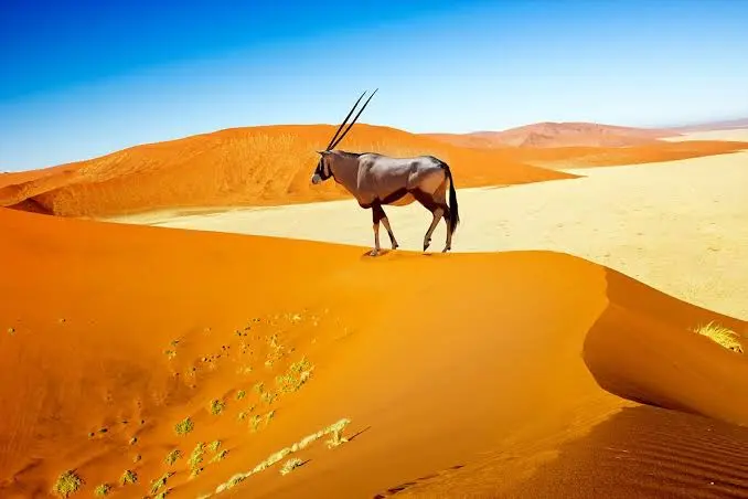 affordable-luxury-namibia-sossusvlei-sunrise.jpg