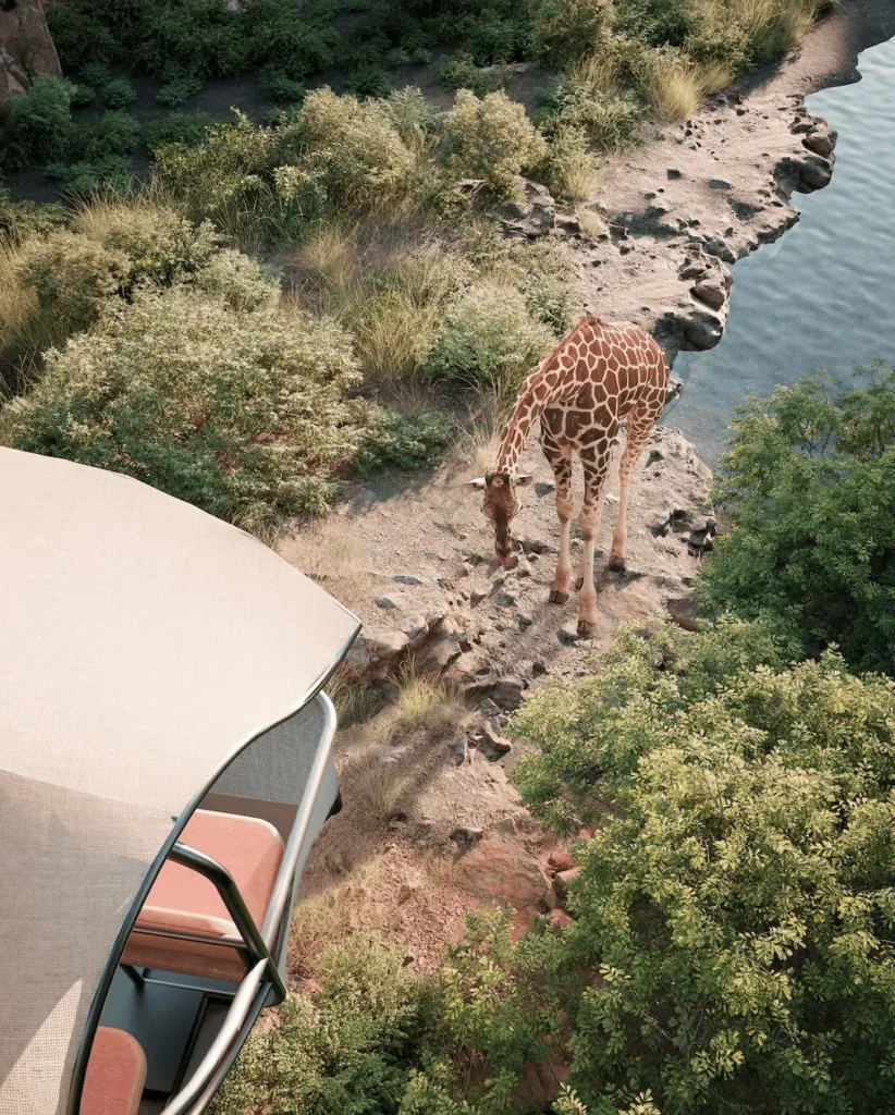 a part of the Pay What You Can Safari Experience