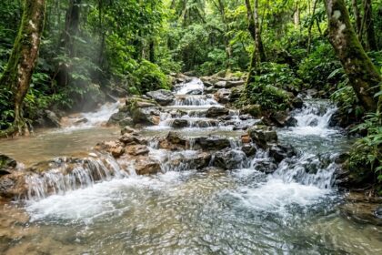 Crystal clear natural spring water flowing over dark rocks in a lush tropical forest at Ikogosi Warm Springs, Nigeria